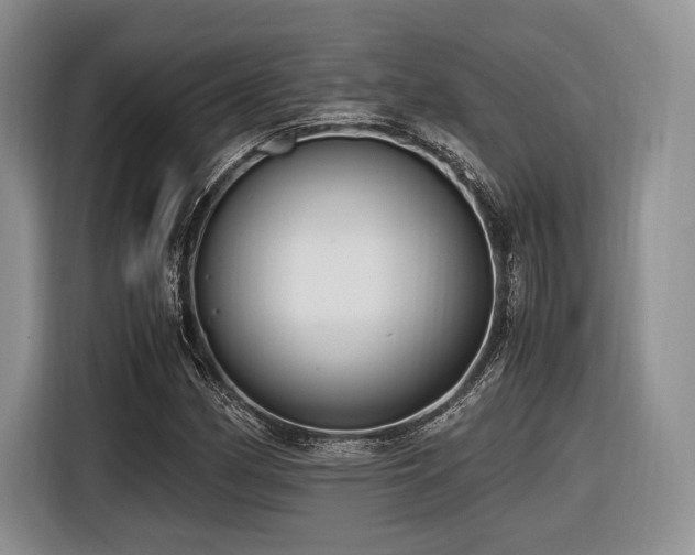 X0000116621162200912111150