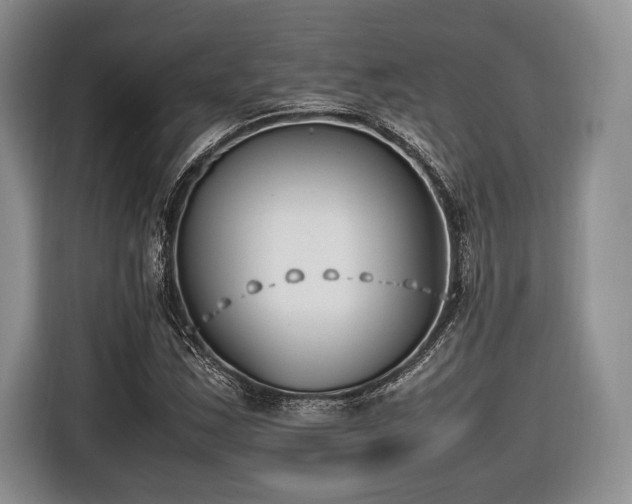 X0000116621163200912111150