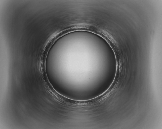 X0000116621164200912111150