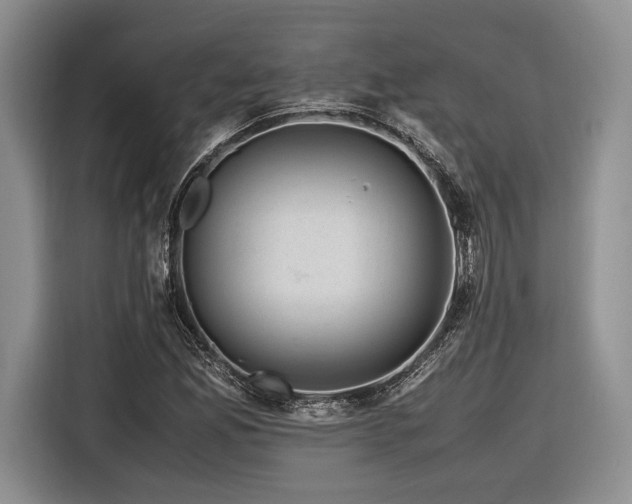 X0000116621165200912111150