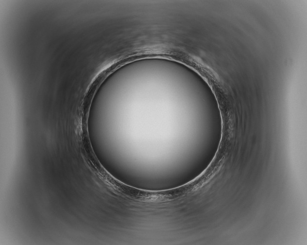 X0000116621166200912111150