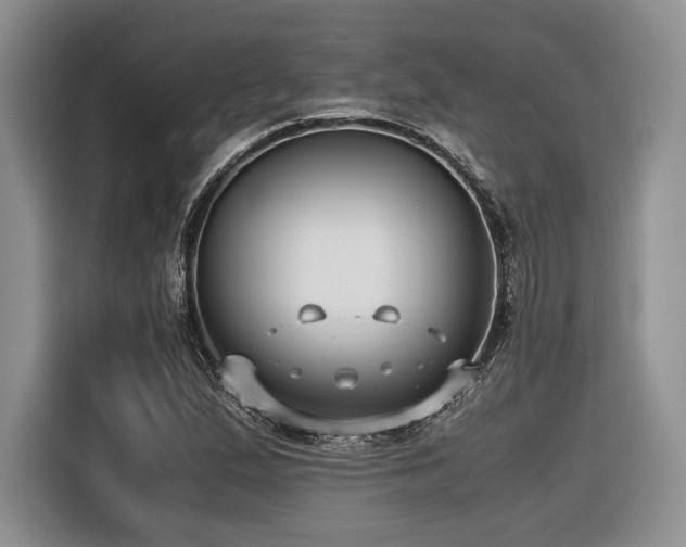 X0000116621167200912111150
