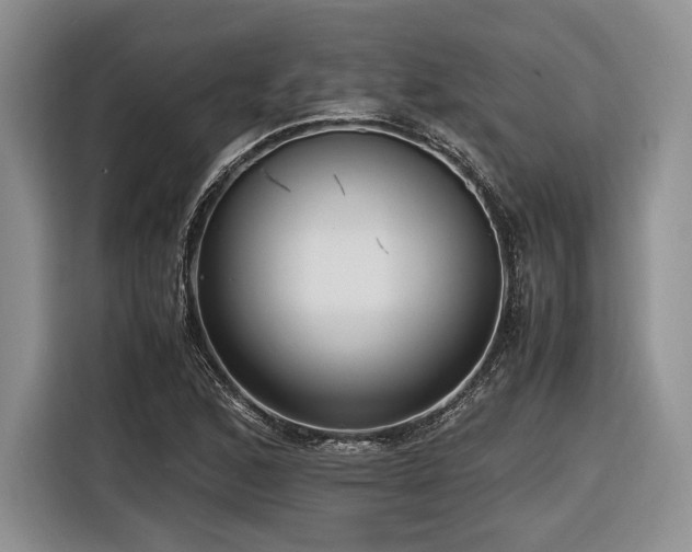 X0000116621168200912111150