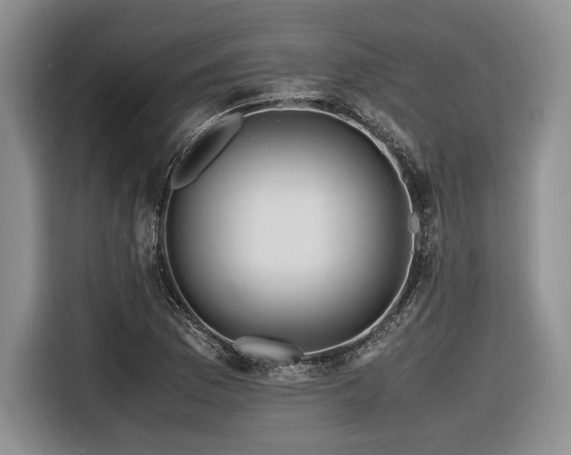 X0000116621169200912111150