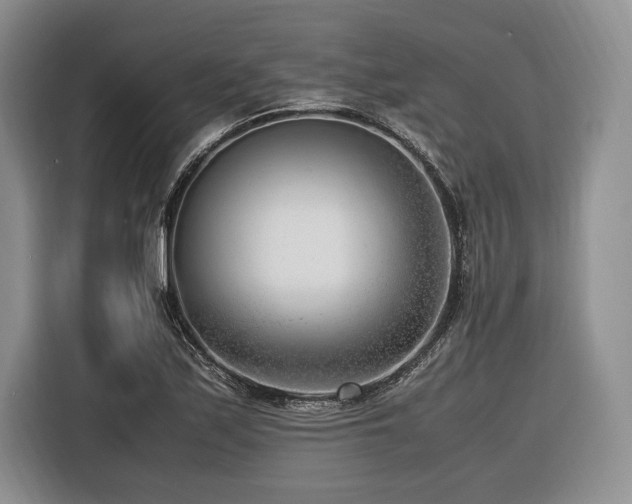 X0000116621171200912111150