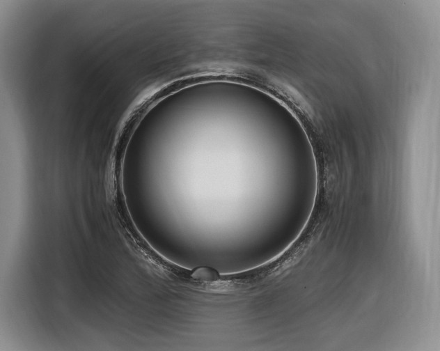 X0000116621172200912111150