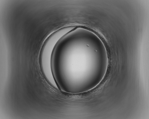 X0000116621173200912111150