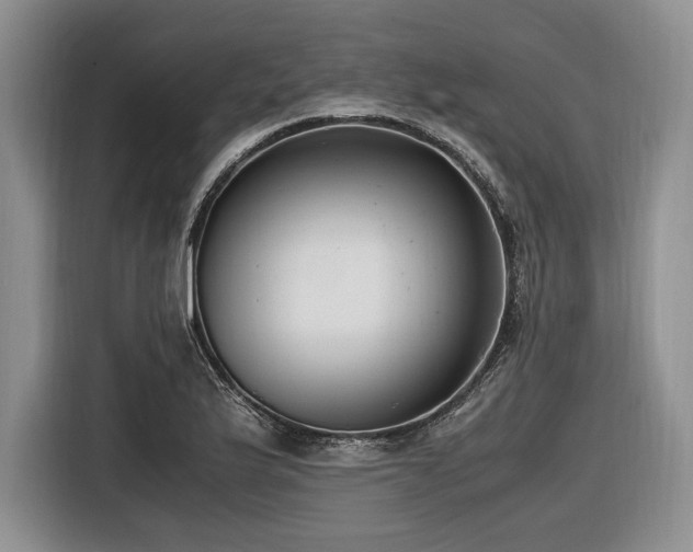 X0000116621175200912111150