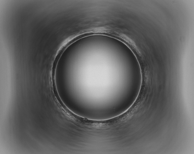 X0000116621176200912111150