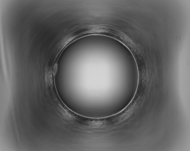 X0000116621177200912111150