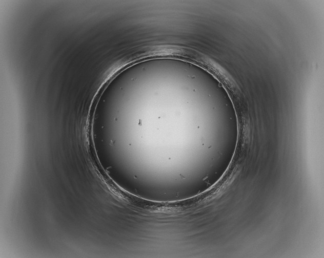 X0000116621178200912111150