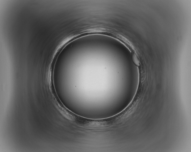 X0000116621179200912111150