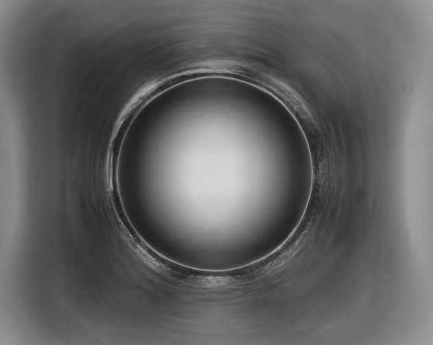 X0000116621180200912111150