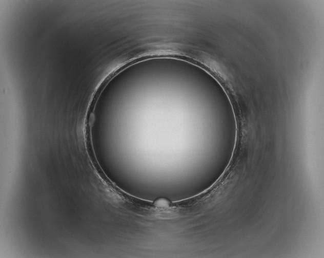 X0000116621181200912111150