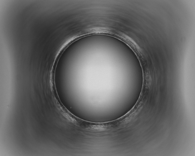 X0000116621182200912111150