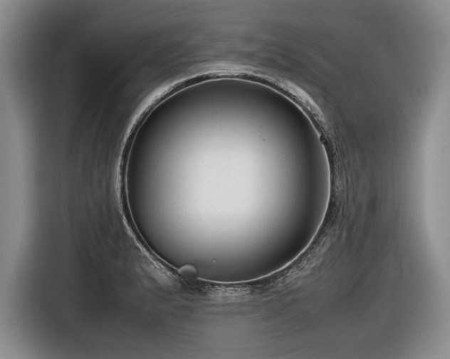 X0000116621183200912111150