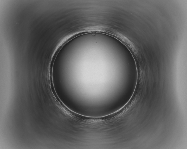 X0000116621184200912111150