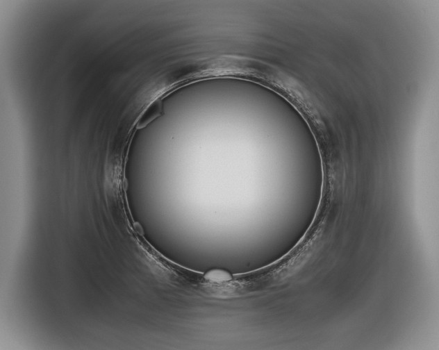 X0000116621185200912111150