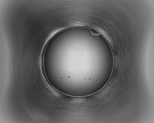 X0000116621187200912111150