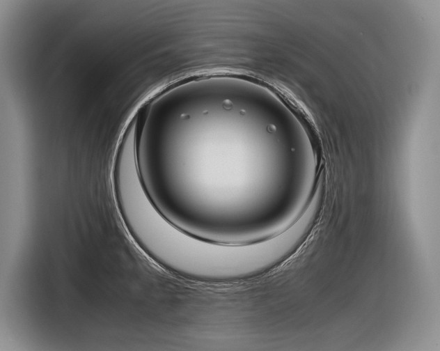 X0000116621189200912111150