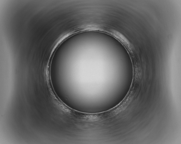 X0000116621190200912111150