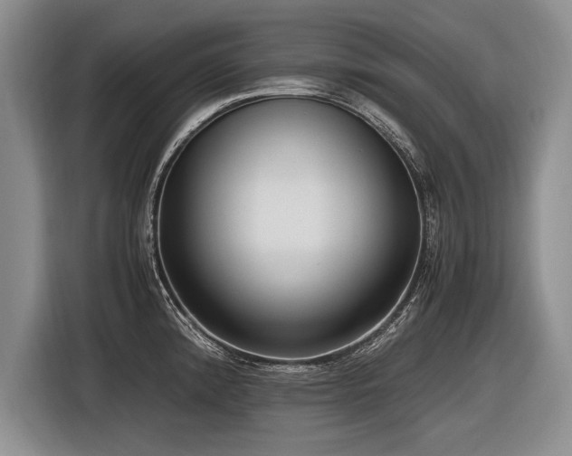 X0000116621192200912111150