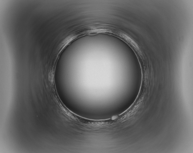 X0000116621193200912111150