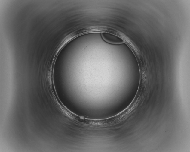 X0000116621194200912111150