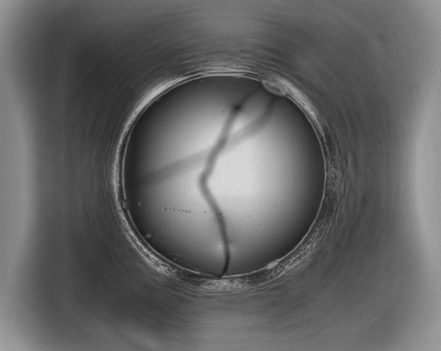 X0000116621195200912111150