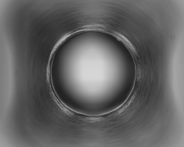 X0000116621196200912111150