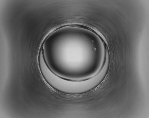 X0000116621197200912111150