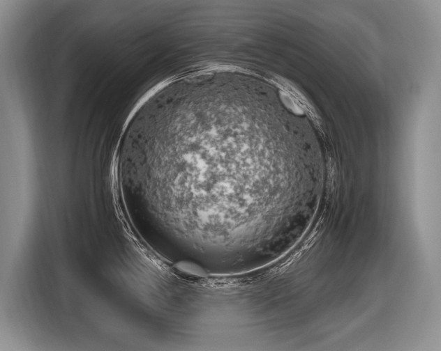 X0000116621198200912111150