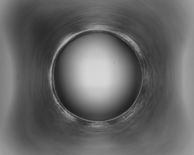 X0000116621199200912111150