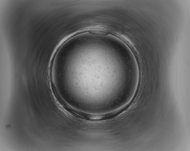 X0000116621200200912111150