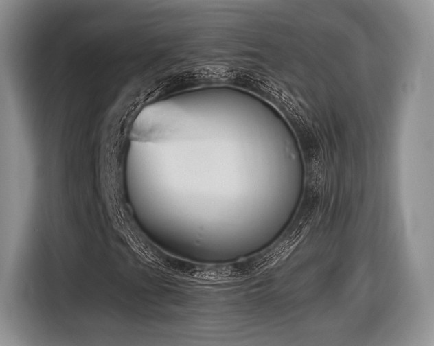 X0000116621201200912111149