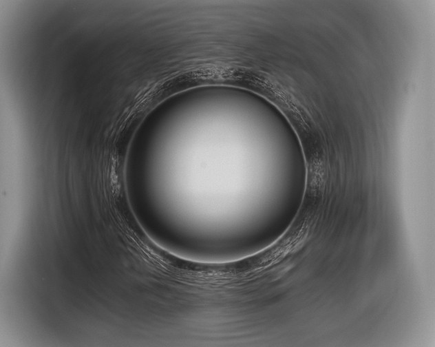X0000116621202200912111149