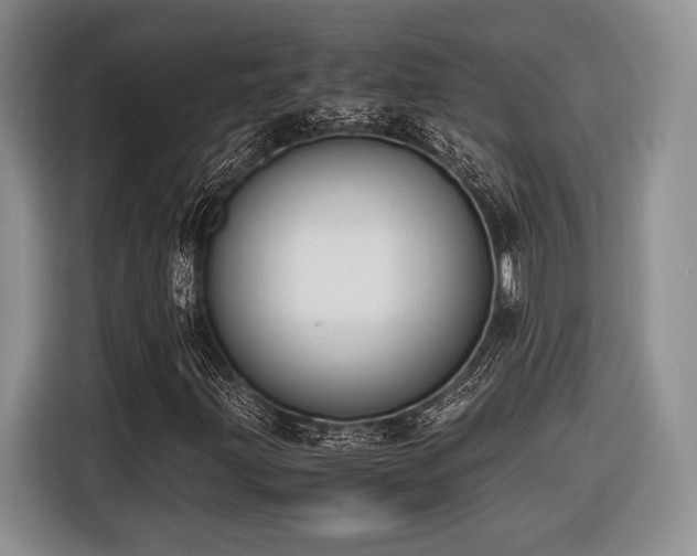 X0000116621203200912111149
