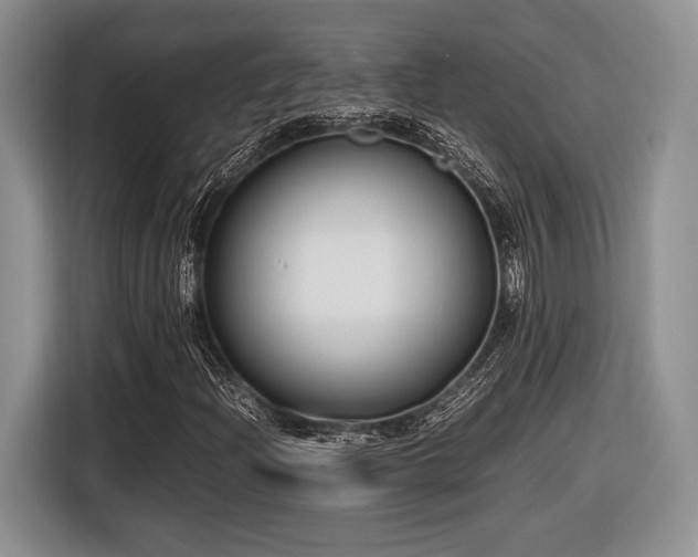 X0000116621204200912111149