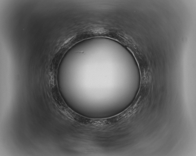 X0000116621205200912111149