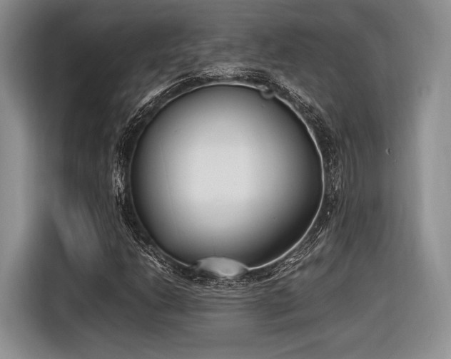 X0000116621206200912111149