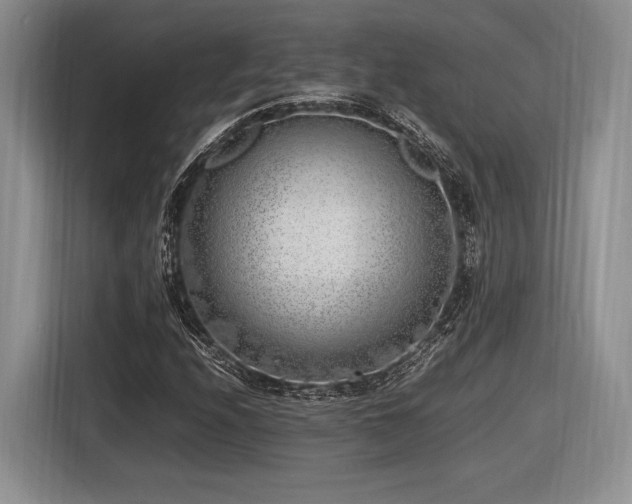 X0000116621208200912111149