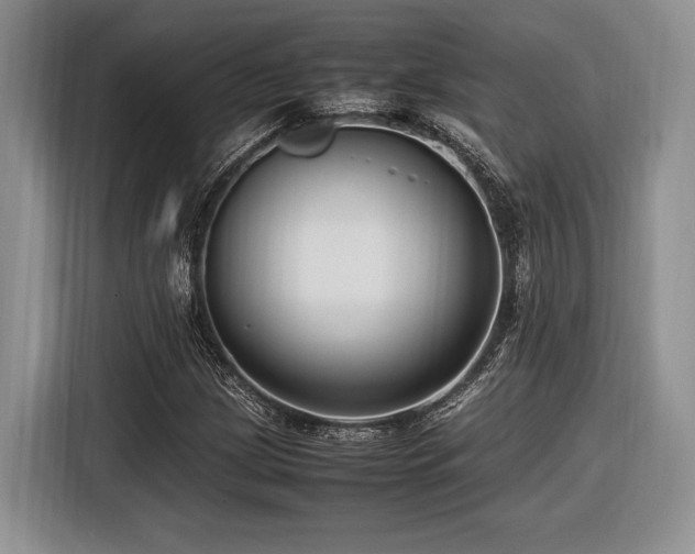 X0000116621209200912111149