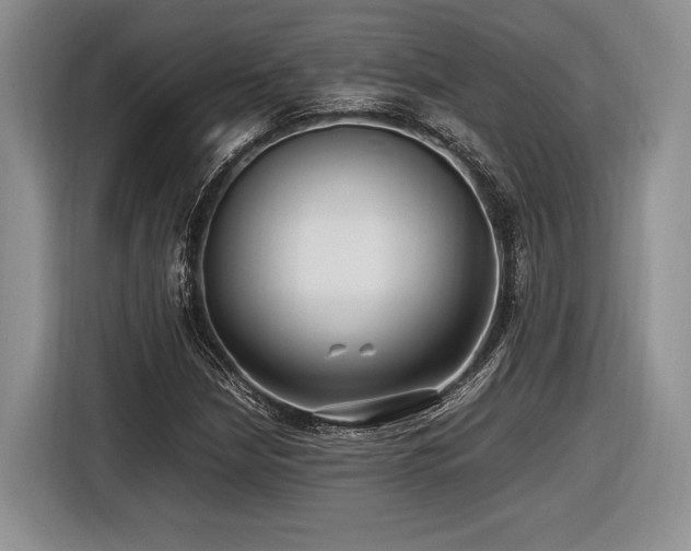 X0000116621210200912111149