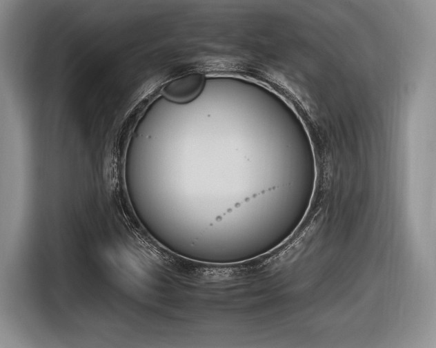 X0000116621211200912111149