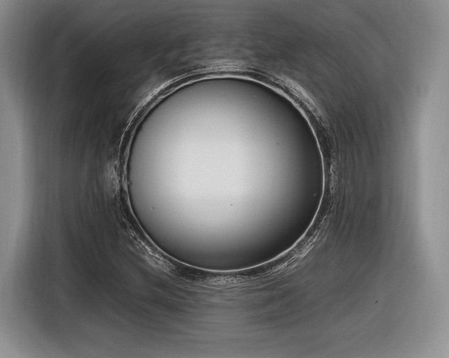 X0000116621212200912111149