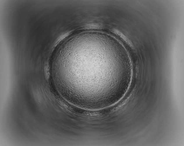 X0000116621213200912111149