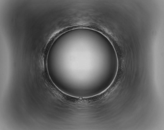 X0000116621214200912111149