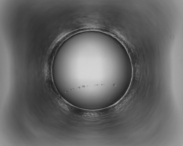 X0000116621215200912111149