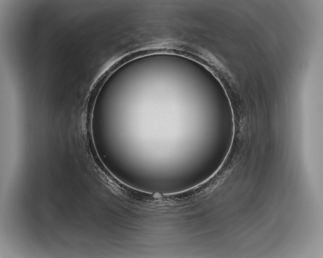 X0000116621216200912111149