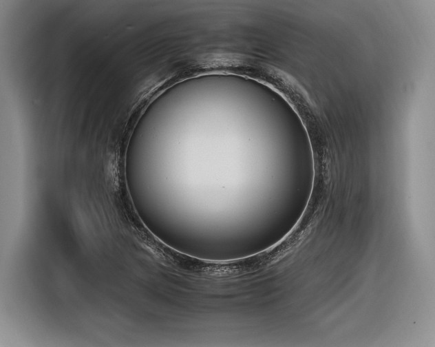 X0000116621217200912111149